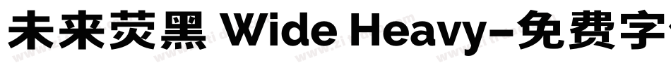 未来荧黑 Wide Heavy字体转换